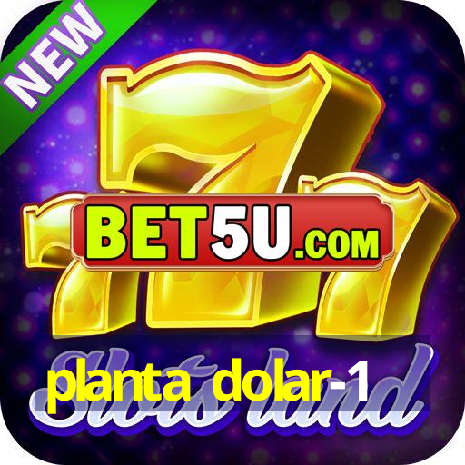 planta dolar